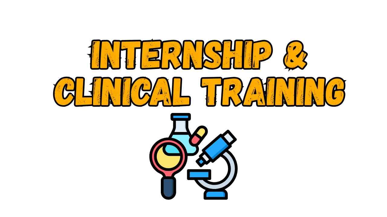 Internship & Clinical Training